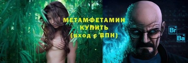 индика Горнозаводск