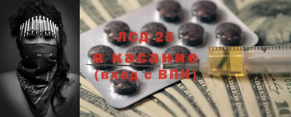 индика Горнозаводск