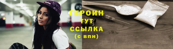 индика Горнозаводск