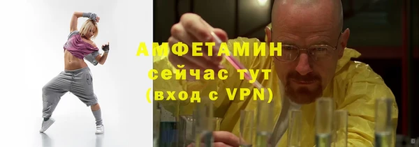 индика Горнозаводск