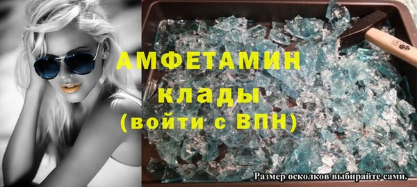 индика Горнозаводск