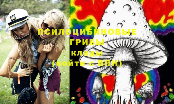 индика Горнозаводск
