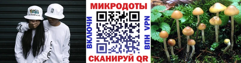 Галлюциногенные грибы мухоморы  гидра зеркало  Жигулёвск 